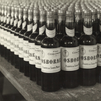 Foto donde aparecen miles de botellas antiguas apiladas unas detrás de otras de la marca Coquinero (amontillado)